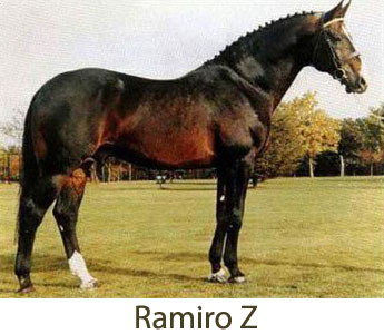 Ramiro Z